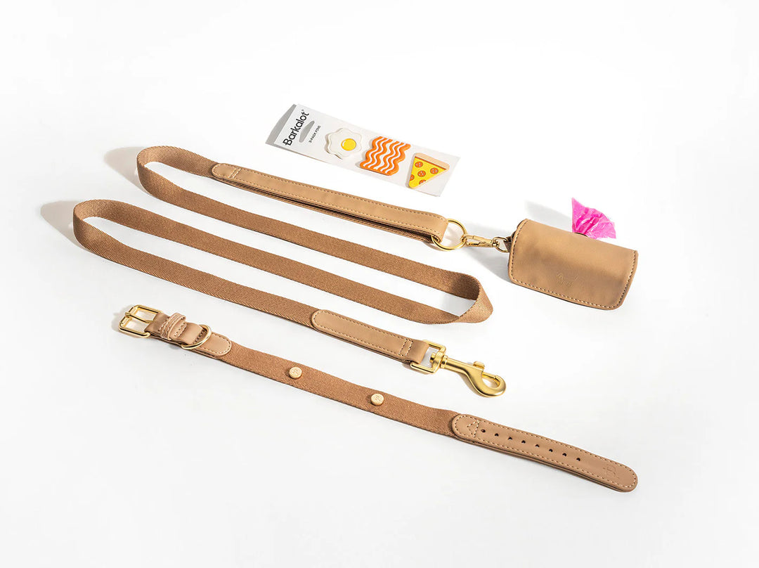 Beige Dog Collar Walk Kit