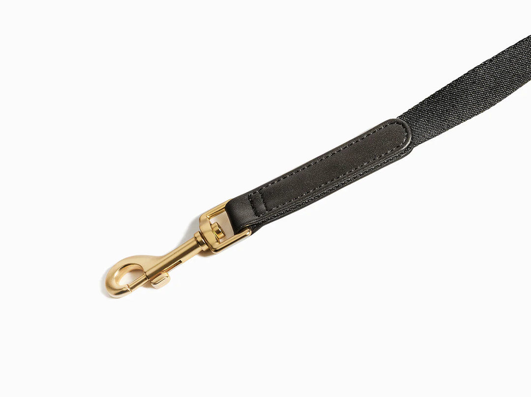 Black Dog Leash smycz
