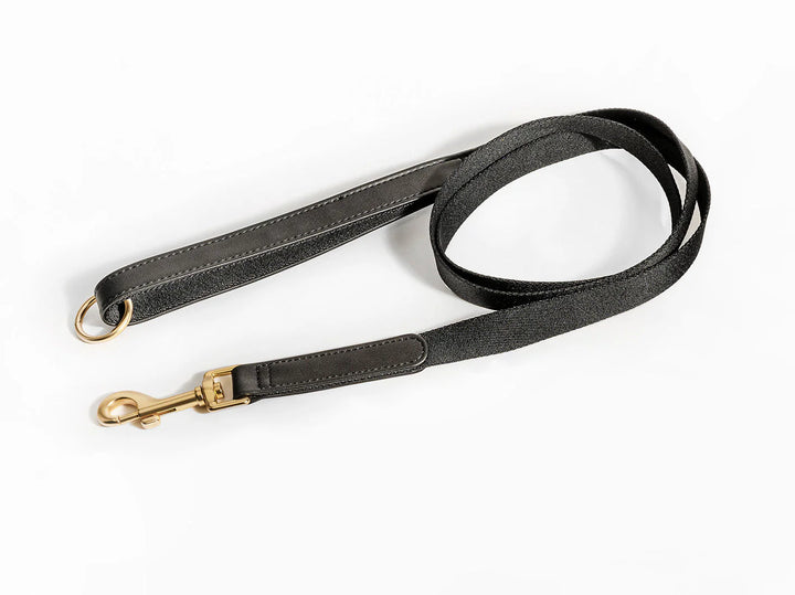 Black Dog Leash smycz