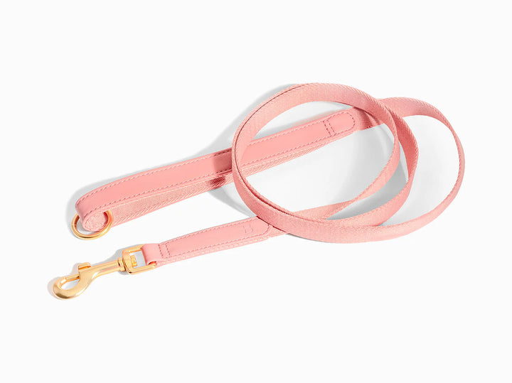Pink Dog Collar Obroża