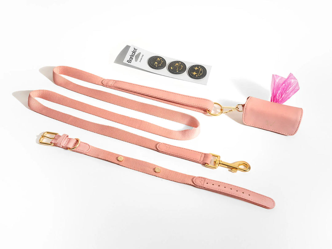 Pink Dog Collar Walk Kit
