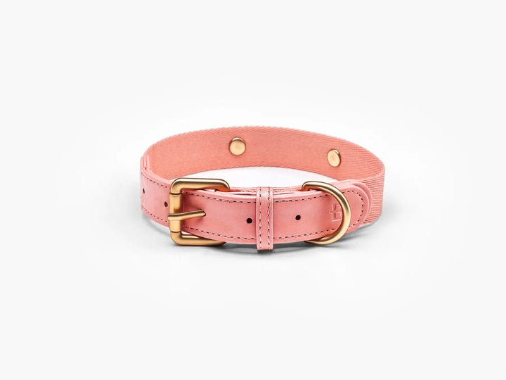 Pink Dog Collar Obroża