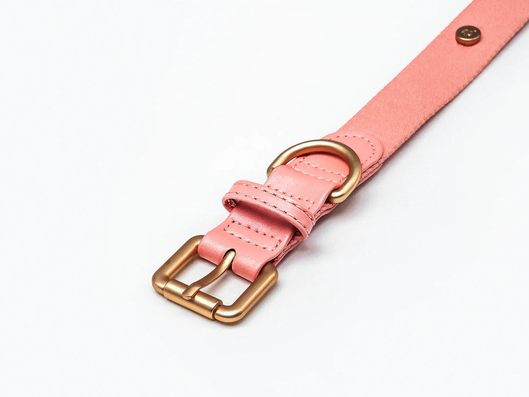 Pink Dog Collar Obroża
